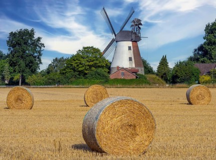 Historic windmill with straw bales Meissen Minden Germany