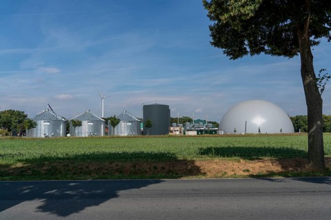 Biogas plant, storage silos, large buffer tank for hot water for intermediate energy storage,