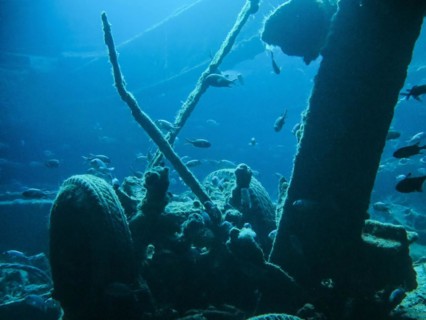 Lower deck, cargo holds, dive site wreck of the Thistlegorm, Red Sea, Egypt, Africa