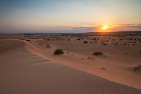 Sand dunes at sunset, Wahiba Sands desert, Sharqiya sand, Oman, Asia
