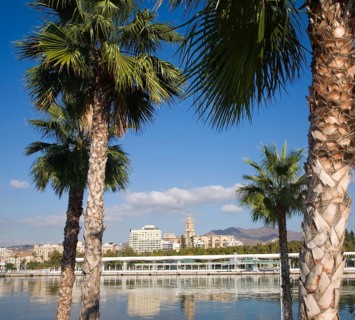 Palm trees in new port development looking towards Malaga city centre, Spain, Europe