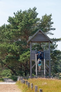 Viewing platform, duck platform, circular hiking trail, nature reserve, Darßer Ort, Born a. Darß,