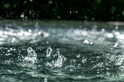 Drops of water hit the water surface
