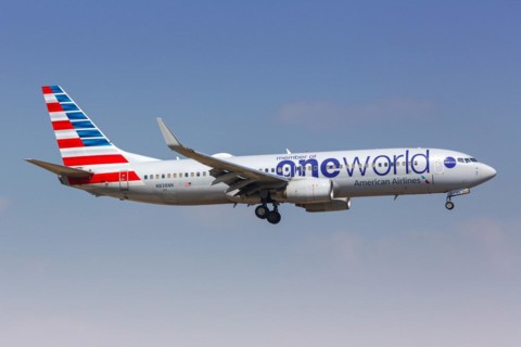 An American Airlines Boeing 737-800 aircraft with the registration number N838NN and the OneWorld