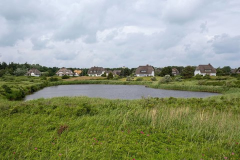 Frisian houses with thatched roof by the pond, Greveling, Wyk, Föhr, North Sea island, North