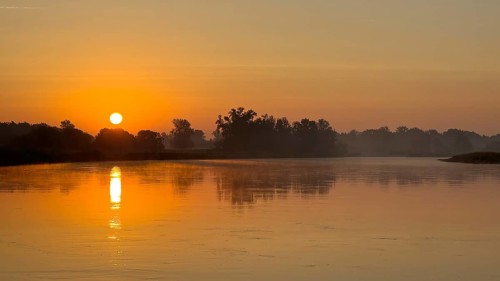 Foggy mood, sunrise on the Elbe, biotope, habitat, Elbe meadows, floodplain landscape, river