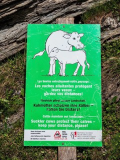 Warning sign, keep distance of suckler cows protecting their calves, lake Lac de Moiry, Valais,