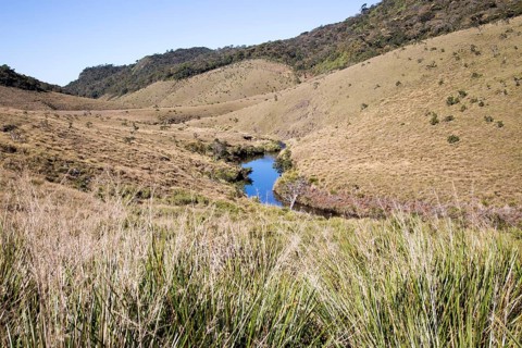 Meandering small Belihul Oya river in V shaped valley Horton Plains national park, Sri Lanka, Asia