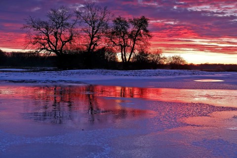 Winter floods 2024 on the Elbe and Mulde rivers with flooding of the meadows, ice on the meadows