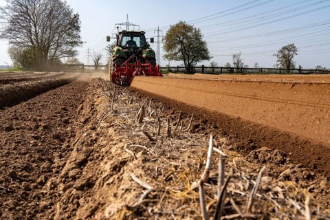 A farmer builds asparagus ridges on a field with the help of an asparagus tiller, in which the