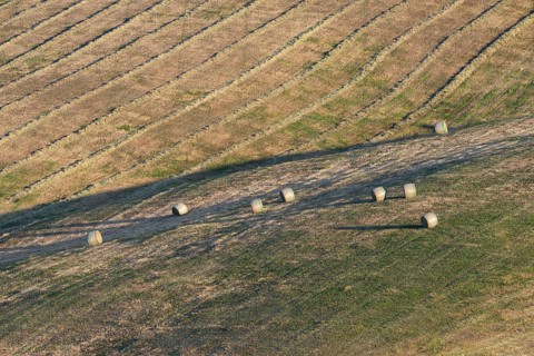 Harvested wheat field with bales of straw, landscape around Pienza, Val d'Orcia, Orcia Valley,