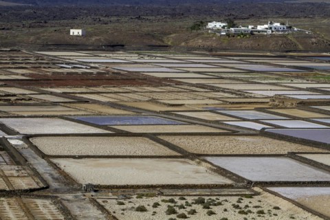 Sea salt extraction, Janubio salt works, Salinas de Janubio, Lanzarote, Canary Islands, Spain,