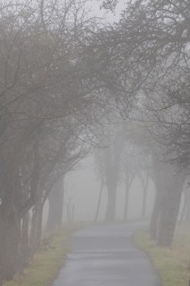 Foggy field path near Rathewalde in Saxon Switzerland, Rathewalde, Saxony, Germany, Europe