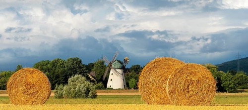 Historic windmill with straw bales Tündern Hameln Germany
