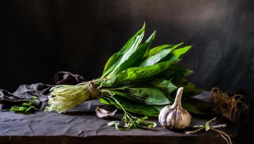 Wild garlic bundle with garlic cloves on a dark background, atmospheric lighting, wild garlic,