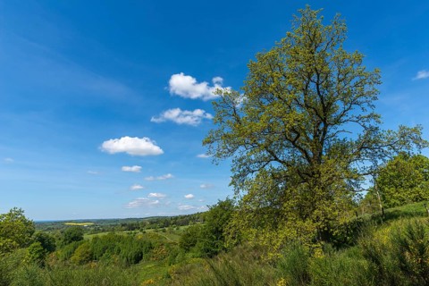 Svanninge Bakker, Faaborg, wooded heights in southern Funen, nature reserve, recreation, hiking,