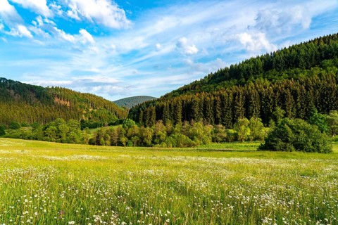 In the nature reserve Unteres Helletal, near Elkeringhausen, district of Winterberg,
