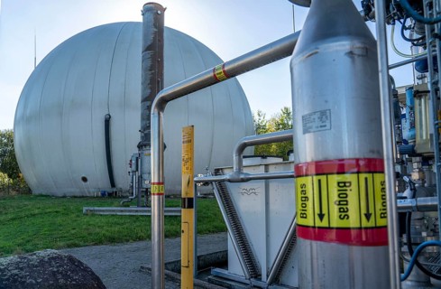 Biogas storage, biogas treatment plant, purification of biogas from organic waste, green waste and