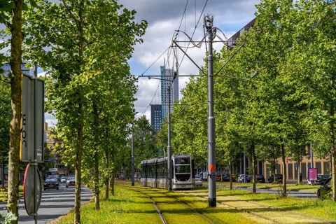 Urban greening, inner-city street Laan op Zuid, in Rotterdam's Feijenoord district, 4 lanes, 2 tram