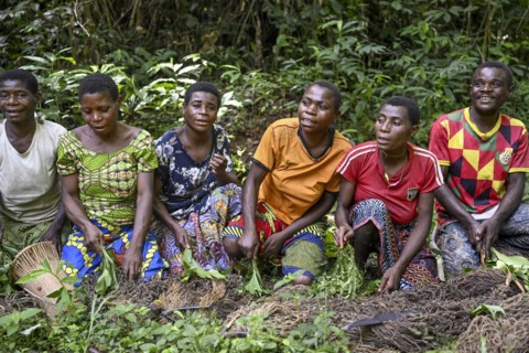 Pygmies of the Baka or BaAka people swear to hunt, hunting magic, net hunting, Dzanga-Sangha