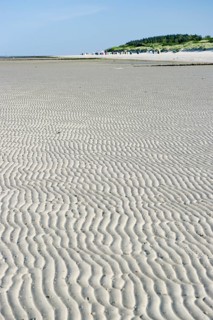 White beach at low tide, Föhr, North Frisian Islands, North Frisia, Schleswig-Holstein, Germany,