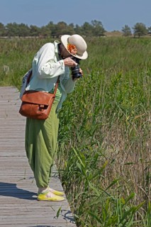 Woman photographed, wooden footbridge, reed grass, circular hiking trail, Darßer Ort, Born a. Darß,