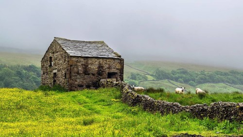 Farms in Yorkshire Dales National Park, North Yorkshire, England, United Kingdom, Europe