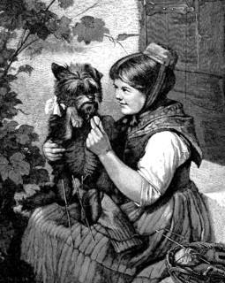 Girl with knitting, playing with her little dog, Illustration from 1870, Historical, digital