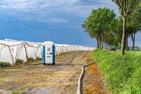 Agriculture, large areas with foil tunnel, for the cultivation of strawberries, south of Lövenich,