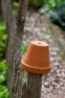Nesting aid for earwigs, insects, flower pot with straw, North Rhine-Westphalia, Germany, Europe