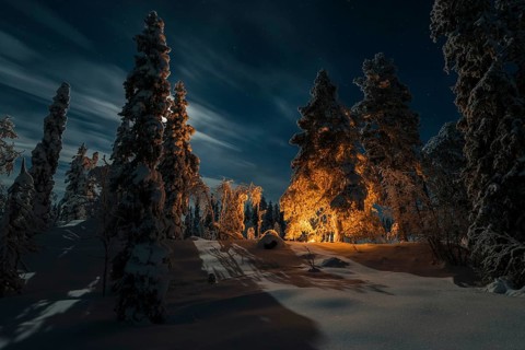 Man in the evening at a bivouac with campfire, Lapland, Sweden, Scandinavia, Europe