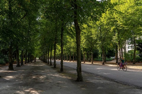 The Jägerhofallee in the Hofgarten, the central municipal park in Düsseldorf, North