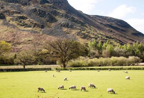 Lakeland scenery, Hallin Fell, Howtown, Ullswater, Lake District national park, Cumbria, England,