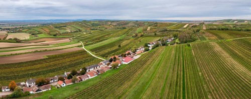 Aerial view, autumn landscape with vineyards, cellar lane, Alberndorf, Pulkautal, Weinviertel,