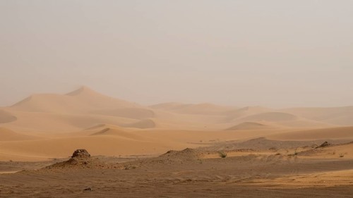 Sandstorm in the desert, dunes, Erg Chebbi, Sahara, Merzouga, Morocco, Africa