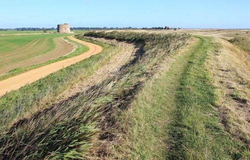 Flood defence sea wall dyke view north to Shingle Street, Alderton, Suffolk, England, UK