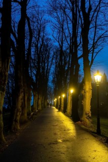 The Burgallee in Düsseldorf-Kaiserswerth, tree-lined avenue, at the old imperial palace, on the