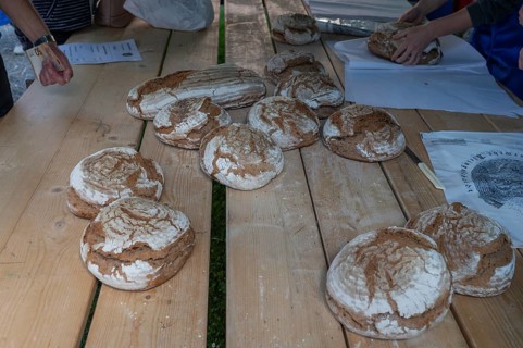 Sale of freshly baked wood-fired bread at a baking oven festival in Franconia, Bavaria, Germany,