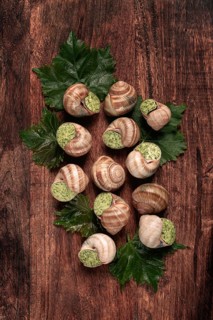 Snails stuffed in Burgundy, top view, with grape leaves, French cuisine, no people