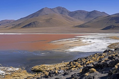 Laguna Colorada, Red Lagoon, salt lake in the Eduardo Avaroa Andean Fauna National Reserve in the