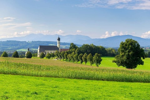 Pilgrimage church of St Marinus and Anian in Wilparting, cornfield, avenue, meadow, municipality of