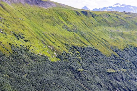 Landscape of the Swiss Alps above the tree line. Mountain slope on the Furka Pass near Obergoms,