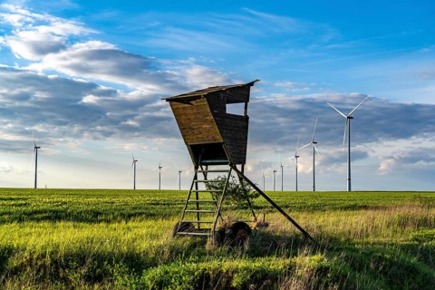 RWE wind farm near Bedburg, at the Garzweiler opencast mine, on recultivated part of the opencast