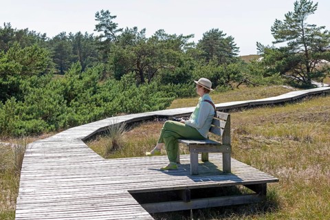 Elderly, woman sitting on bench, wooden footbridge, reed grass, trees, circular hiking trail,