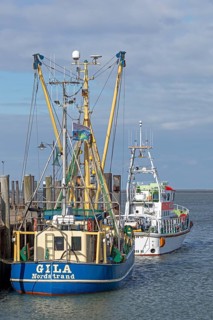 Fishing cutter, SAR boat, harbour, Strucklahnungshörn, Nordstrand, North Frisia,