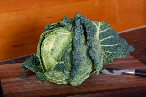 Swabian cuisine, preparation of savoy cabbage, wild boar medallions with savoy cabbage cakes,