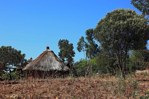 South Ethiopia, Benna people, house, hut, round hut in a Benna village, Ethiopia, Africa
