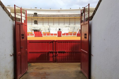 Plaza de Toros bullring built 1914, Merida, Extremadura, Spain, Europe