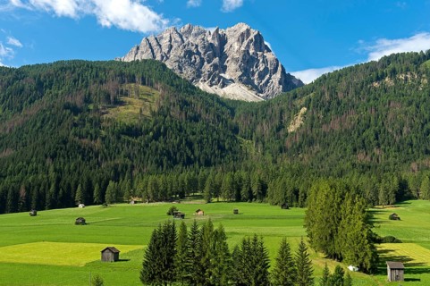 Alpine landscape with green alpine meadows, forest belt and summit massif of the