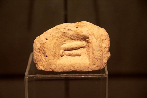 Carved stone penis shapes, National Museum of Archaeology, Valletta, Malta, Europe
